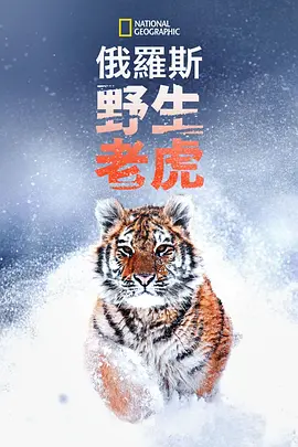 杨幂中文字幕日韩精品