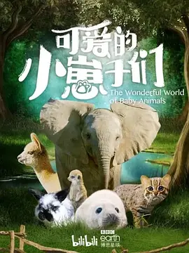 武汉群p交流群