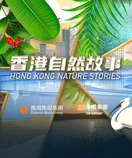 欧美www坏哥哥视频在线观看
