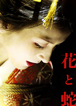 欧美性别互换的电影在线观看